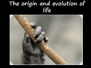 The origin and evolution of life The beginning