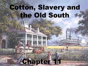 Cotton Slavery and the Old South Chapter 11