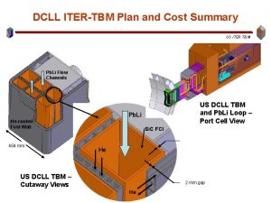 DCLL ITERTBM Plan and Cost Summary US ITER