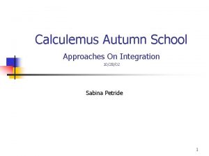 Calculemus Autumn School Approaches On Integration 102802 Sabina