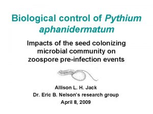 Biological control of Pythium aphanidermatum Impacts of the