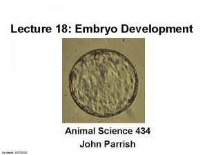Lecture 18 Embryo Development Animal Science 434 John