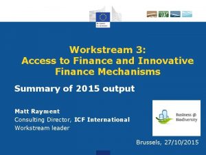 Workstream 3 Access to Finance and Innovative Finance