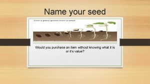 Name your seed
