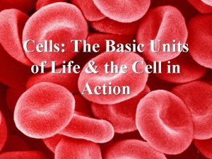 Cells The Basic Units of Life the Cell