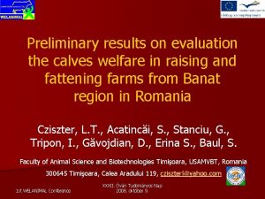 Preliminary results on evaluation the calves welfare in