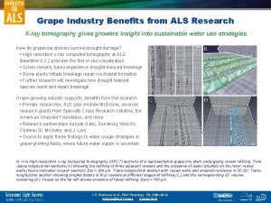Grape Industry Benefits from ALS Research Xray tomography