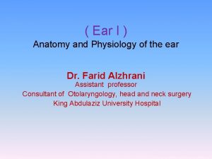 Sensory supply of ear