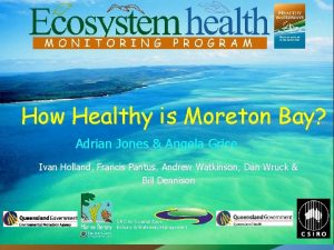 How Healthy is Moreton Bay Adrian Jones Angela
