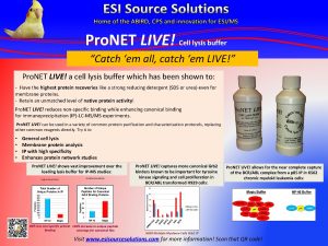 Net lysis buffer