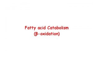 B oxidation of fatty acids B oxidation of fatty acids
