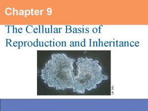 Chapter 9 Power Point Lectures for Biology Concepts