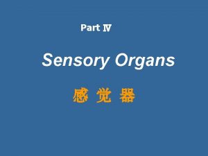 Part Sensory Organs The Sensory Organs Sensory organs