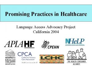 Promising Practices in Healthcare Language Access Advocacy Project