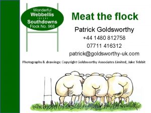 Meat the flock Patrick Goldsworthy 44 1480 812758