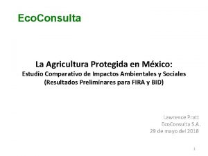 Eco Consulta La Agricultura Protegida en Mxico Estudio