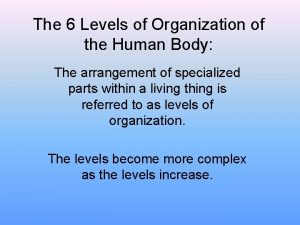 6 levels of organization