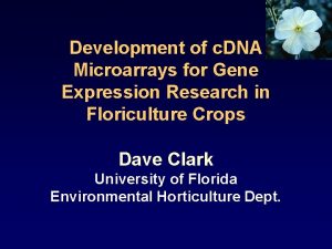 Development of c DNA Microarrays for Gene Expression