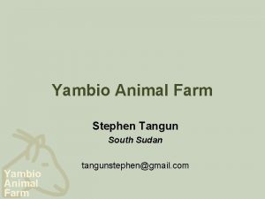 Yambio Animal Farm Stephen Tangun South Sudan Yambio