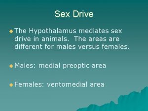 Sex Drive u The Hypothalamus mediates sex drive