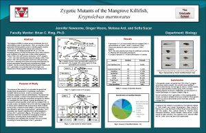 Zygotic Mutants of the Mangrove Killifish Kryptolebias marmoratus