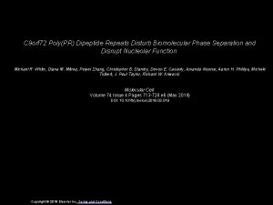 C 9 orf 72 PolyPR Dipeptide Repeats Disturb