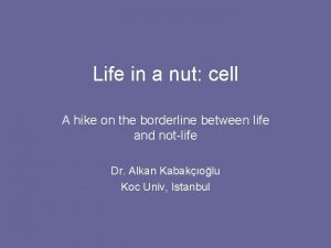 Life in a nut cell A hike on