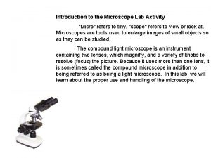Introduction to the microscope lab activity