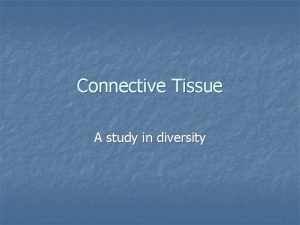 Connective Tissue A study in diversity Connective Tissue