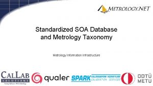 Standardized SOA Database and Metrology Taxonomy Metrology Information
