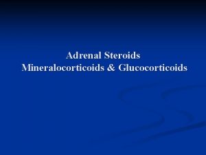 Adrenal Steroids Mineralocorticoids Glucocorticoids Adrenal Gland Cortex Mineralocorticoid