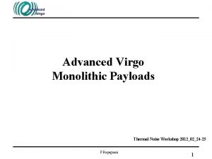 Advanced Virgo Monolithic Payloads Thermal Noise Workshop 20120224