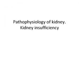 Pathophysiology of kidney Kidney insufficiency Violation of the