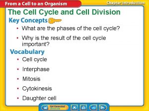 The Cell Cycle and Cell Division What are