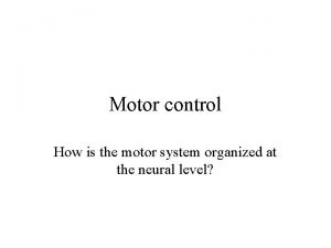 Motor control How is the motor system organized