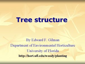 Tree structure By Edward F Gilman Department of