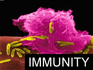 Dr Jagadishchandra K Associate Professor IMMUNITY Immunity defined