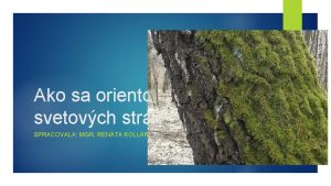 Ako sa orientova poda svetovch strn SPRACOVALA MGR