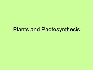 Plants and Photosynthesis How do plants make their