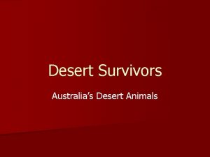 Desert animals australia Desert animals australia