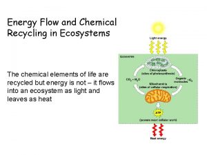 Energy flow and chemical recycling in ecosystems
