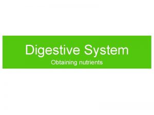 Digestive System Obtaining nutrients Nutrition Energy Body cells