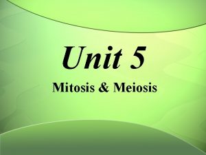 Unit 5 Mitosis Meiosis Why do cells divide