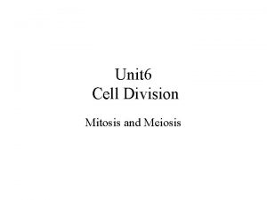 Unit 6 Cell Division Mitosis and Meiosis Cells