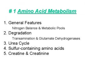 Ketogenic amino acids Ketogenic amino acids