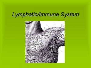 LymphaticImmune System The lymphatic system consists of 2