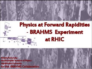 Physics at Forward Rapidities BRAHMS Experiment at RHIC