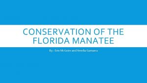 CONSERVATION OF THE FLORIDA MANATEE By Erin Mc