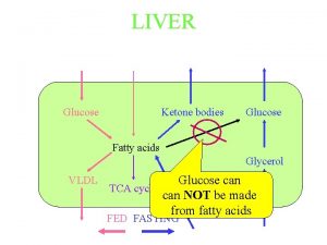 LIVER Glucose Ketone bodies Glucose Fatty acids Glycerol