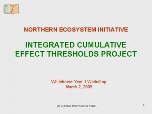 NORTHERN ECOSYSTEM INITIATIVE INTEGRATED CUMULATIVE EFFECT THRESHOLDS PROJECT